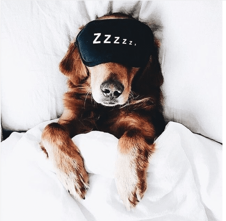 Silk Pillowcase Benefits Are Silk Pillowcases Good For You? Oz Hair & Beauty Oz Hair and Beauty